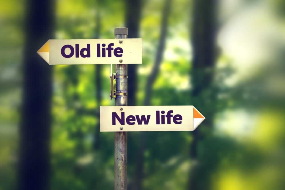Life Transitions Counselling